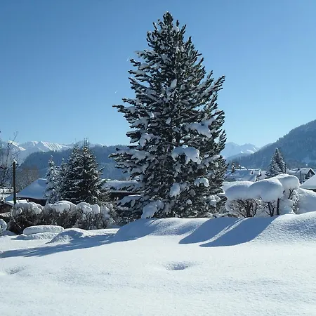 Riss Appartement Bolsterlang