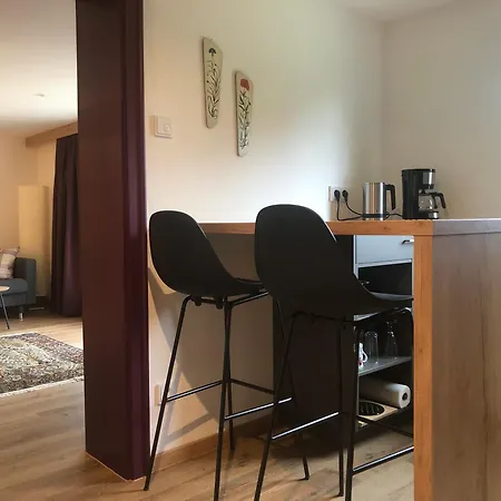 Riss Apartment *