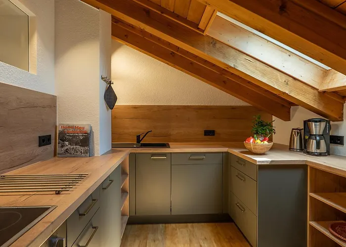 Riss